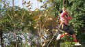 SAM_0808