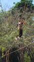 SAM_0820