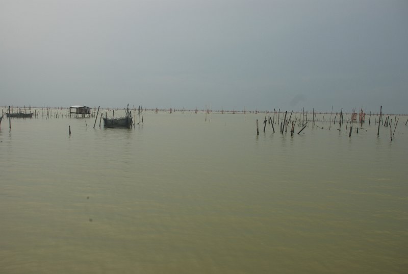 DSC_7947.JPG