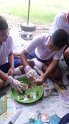 SAM_2106