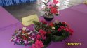 SAM_2158