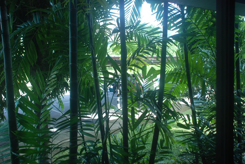 DSC_8162.JPG