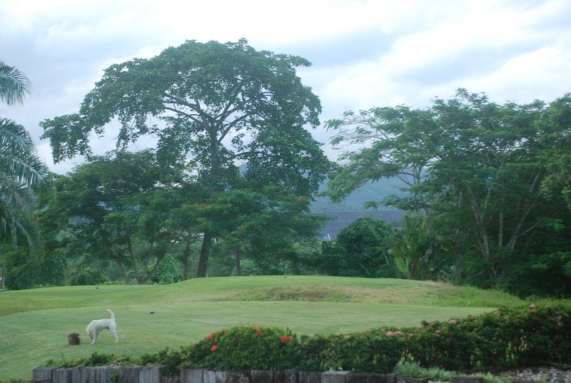 DSC_8168.JPG