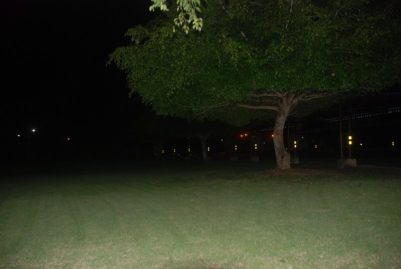 DSC_8214.JPG