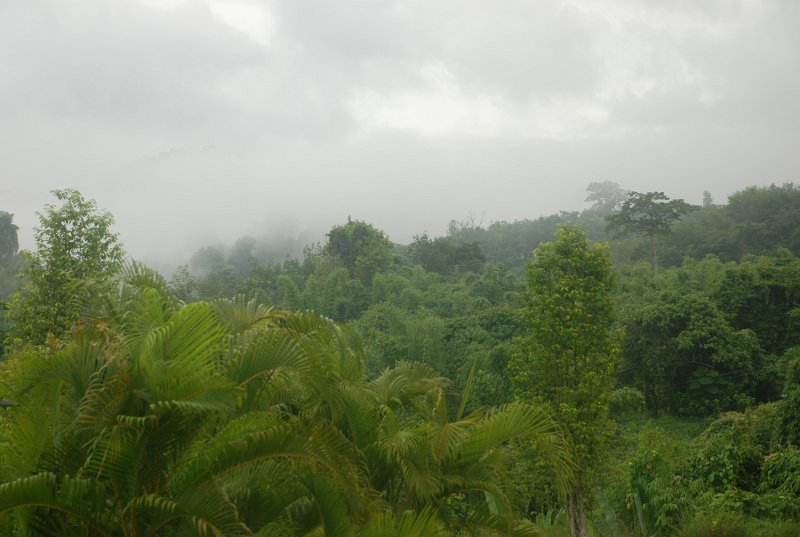 DSC_8246.JPG