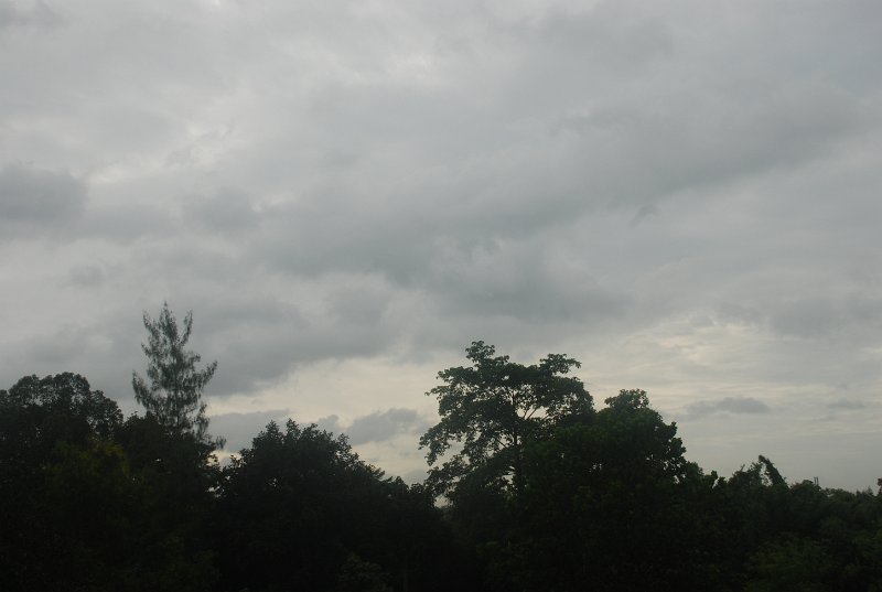 DSC_8248.JPG