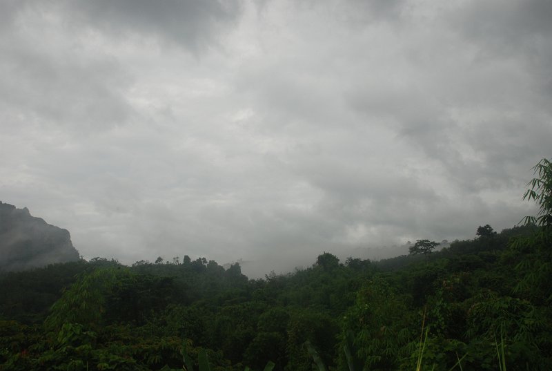 DSC_8250.JPG