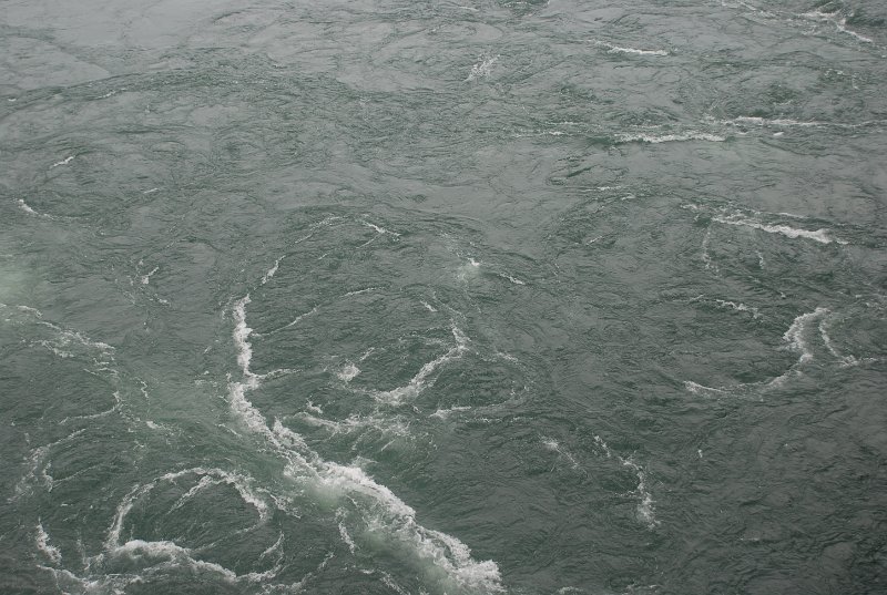 DSC_8703.JPG