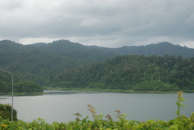 DSC_8774.JPG
