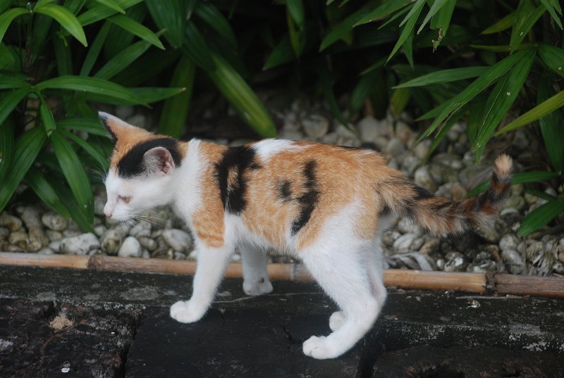 DSC_8797.JPG