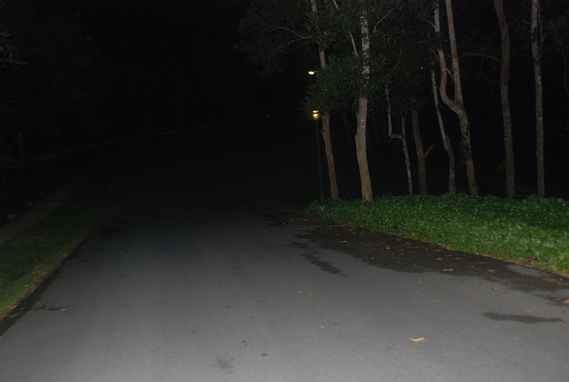DSC_8880.JPG