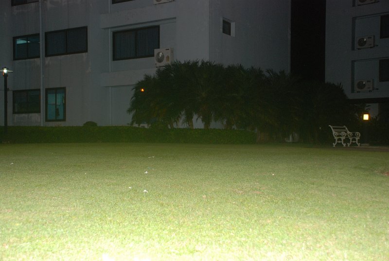 DSC_8885.JPG