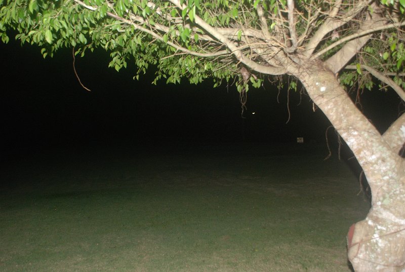DSC_8887.JPG