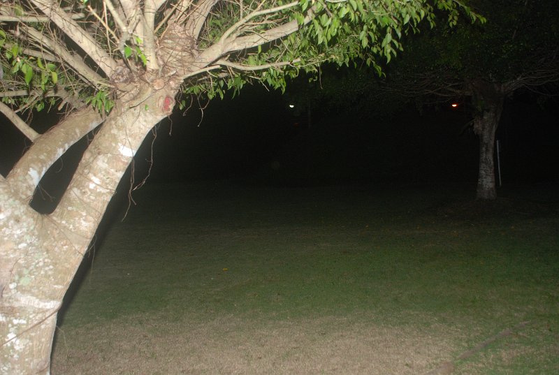 DSC_8888.JPG