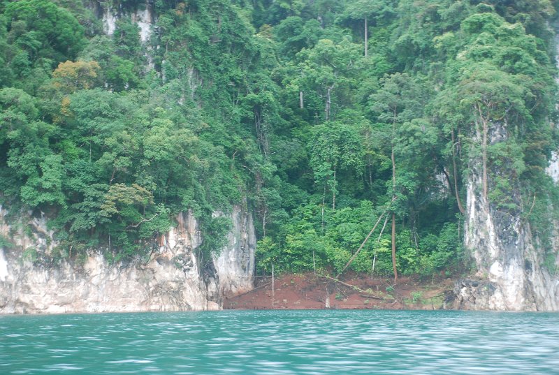 DSC_9016.JPG