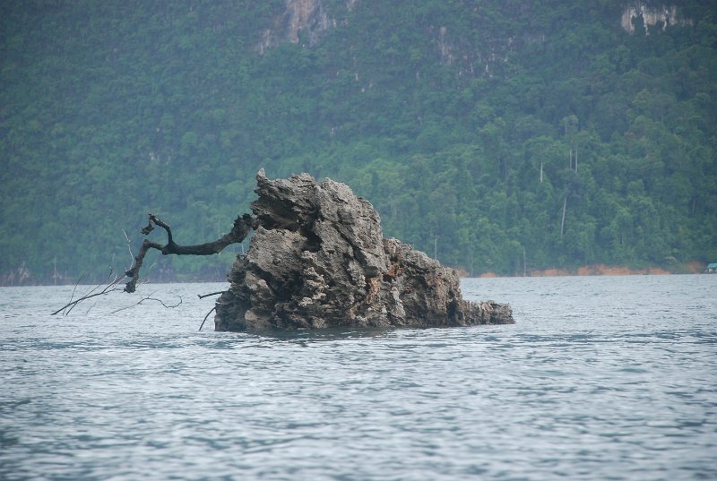 DSC_9056.JPG