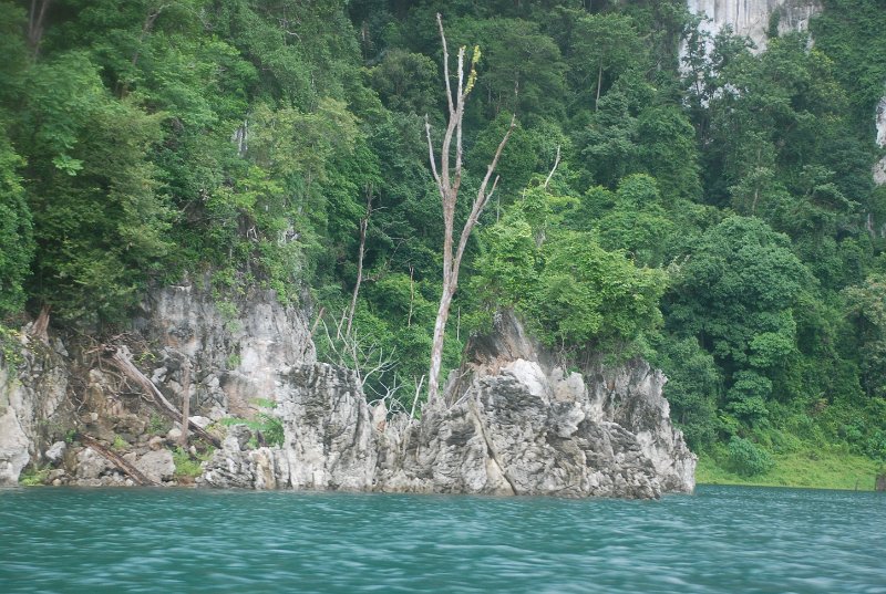 DSC_9065.JPG