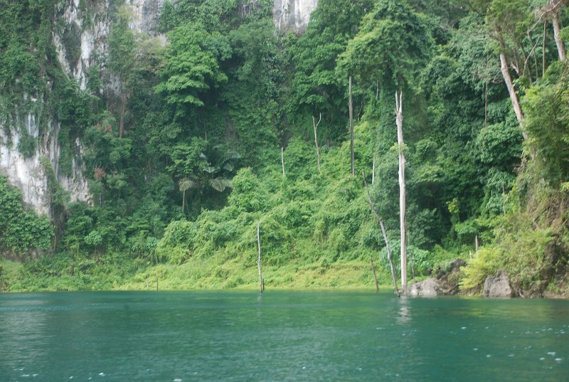 DSC_9081.JPG