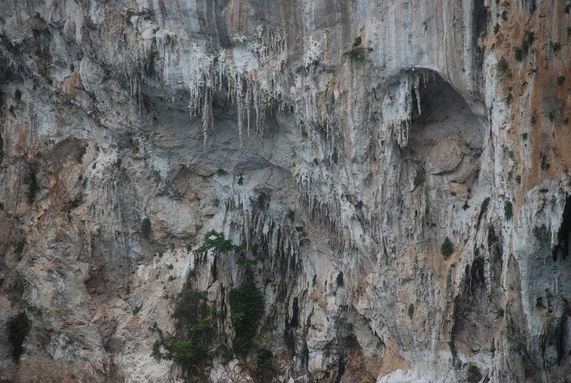 DSC_9143.JPG