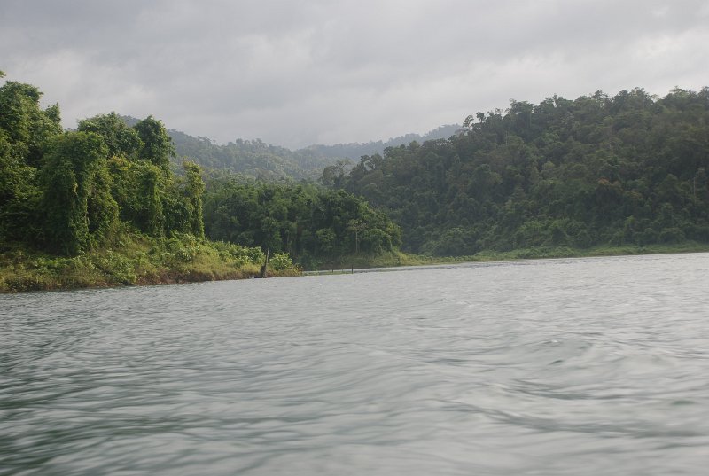 DSC_9184.JPG