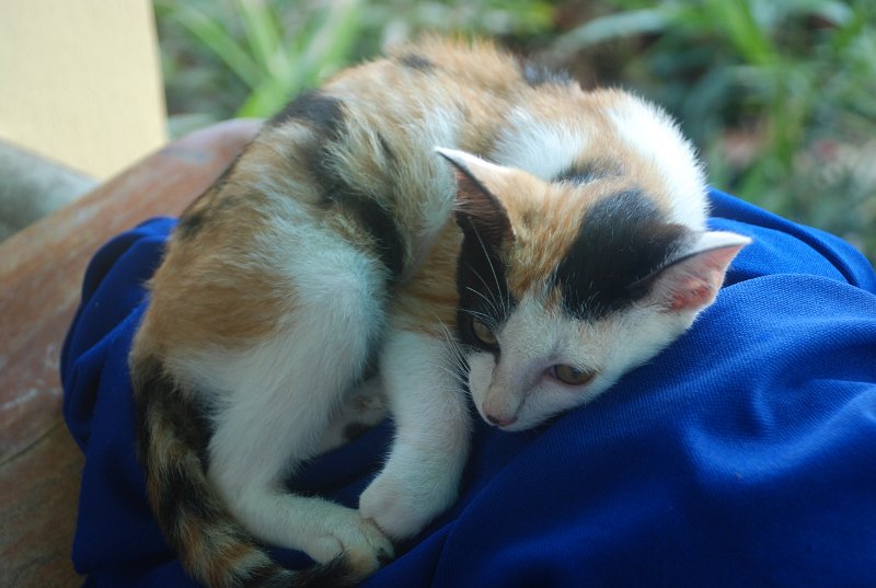 DSC_9250.JPG