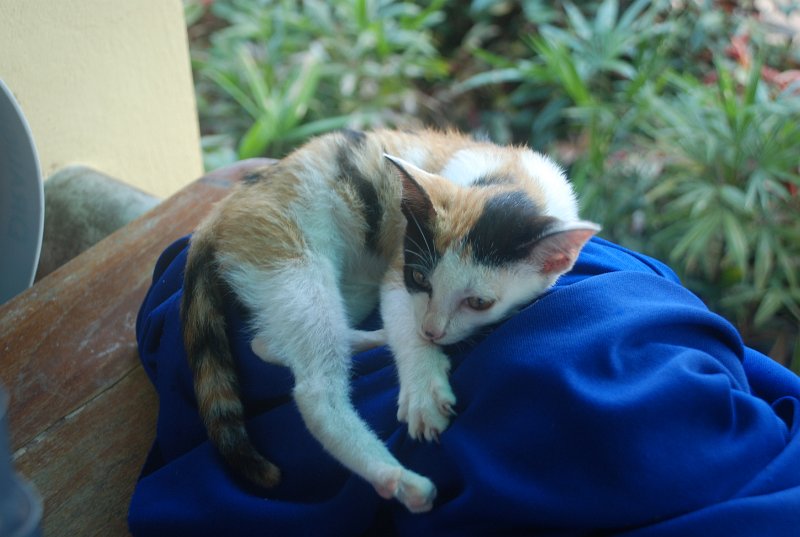 DSC_9251.JPG
